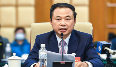 两会季丨围绕新能源工业，，，，，张天任代表提交这些建议