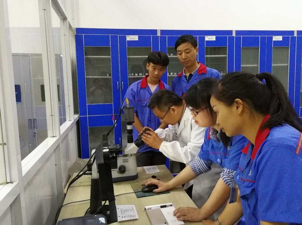 jdb电子·(中国)游戏官网