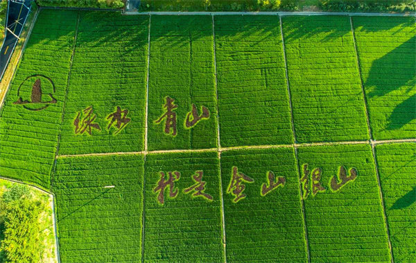 jdb电子·(中国)游戏官网