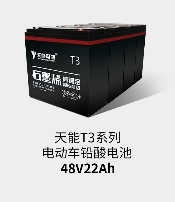 jdb电子游戏平台T3系列48v22ah